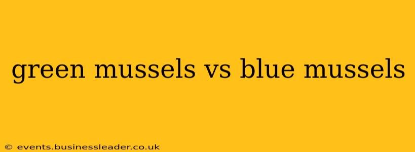 green mussels vs blue mussels