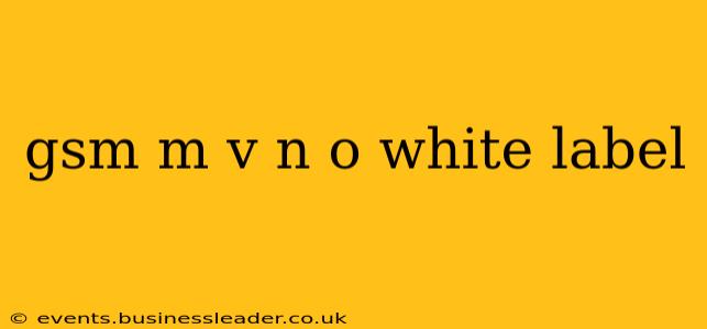 gsm m v n o white label
