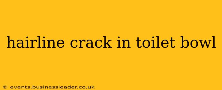 hairline crack in toilet bowl