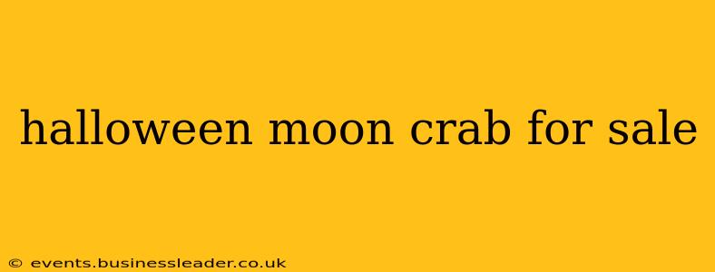 halloween moon crab for sale