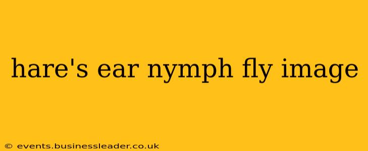 hare's ear nymph fly image