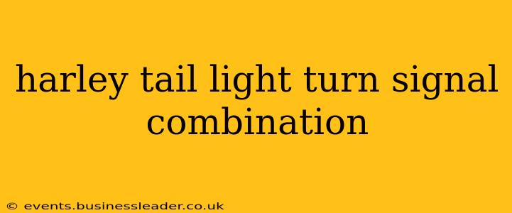 harley tail light turn signal combination
