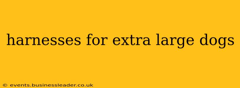 harnesses for extra large dogs