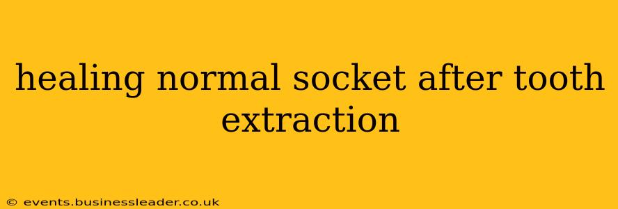 healing normal socket after tooth extraction