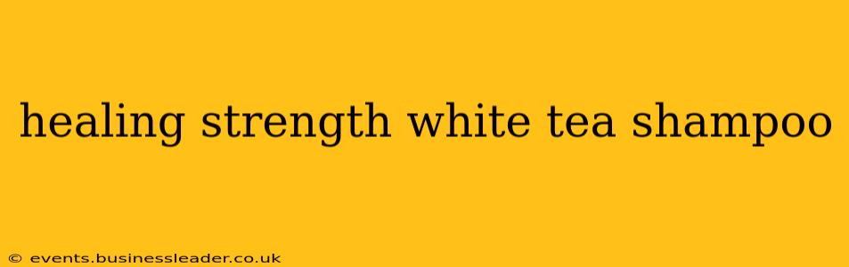 healing strength white tea shampoo