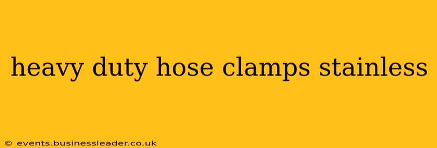 heavy duty hose clamps stainless