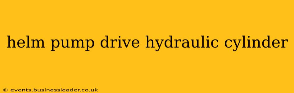 helm pump drive hydraulic cylinder