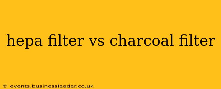 hepa filter vs charcoal filter