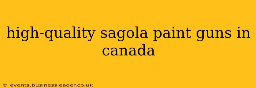 high-quality sagola paint guns in canada