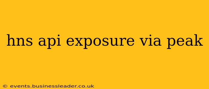 hns api exposure via peak