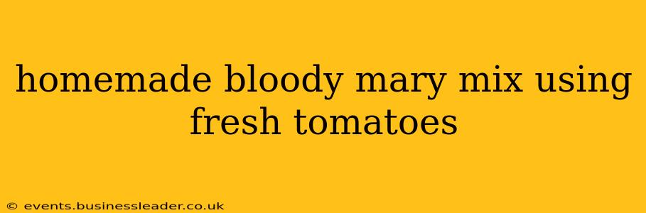 homemade bloody mary mix using fresh tomatoes