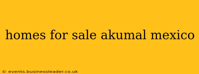 homes for sale akumal mexico
