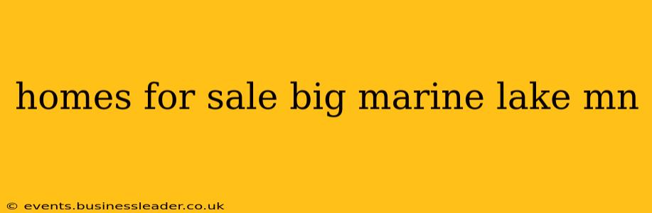 homes for sale big marine lake mn