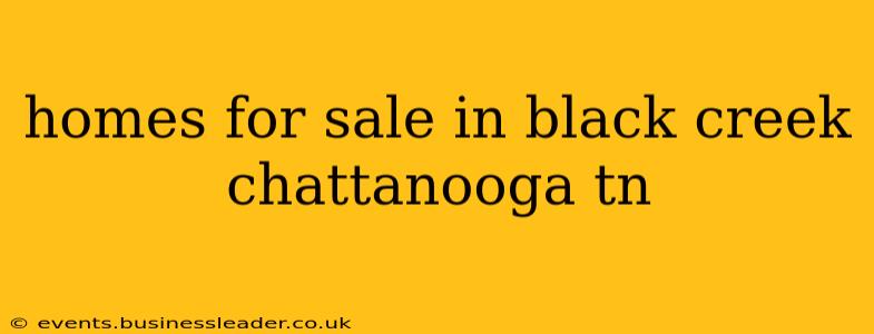 homes for sale in black creek chattanooga tn