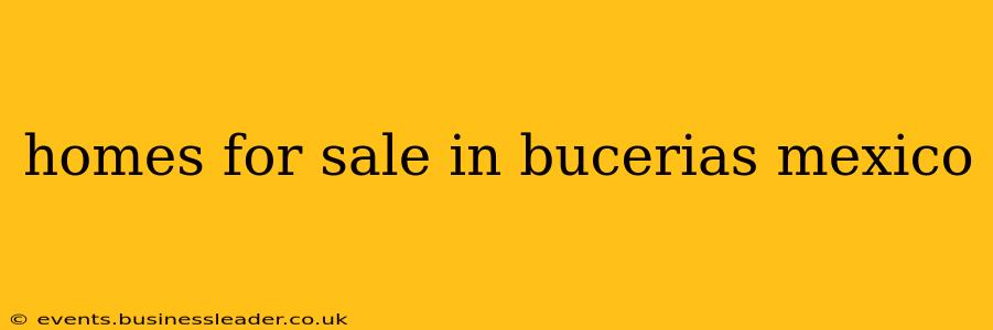 homes for sale in bucerias mexico