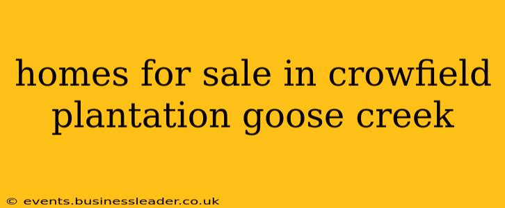 homes for sale in crowfield plantation goose creek