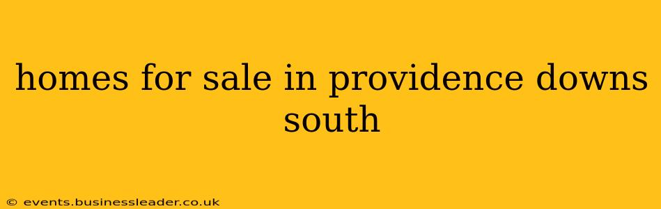 homes for sale in providence downs south