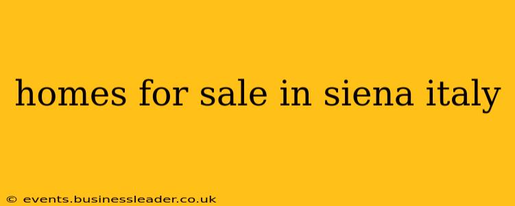 homes for sale in siena italy