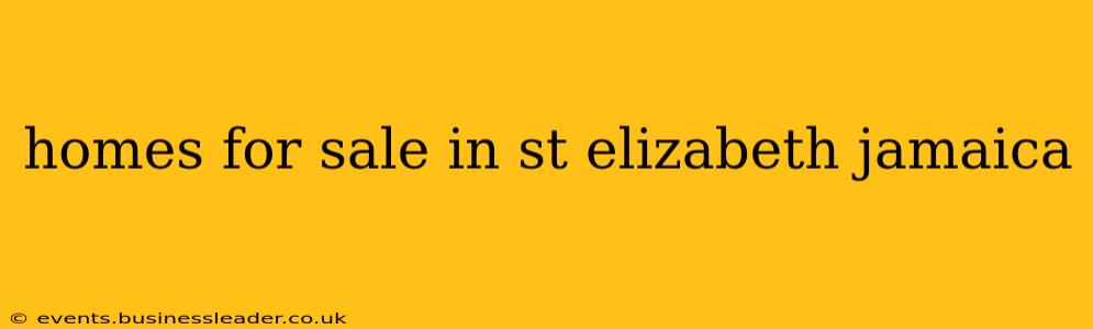 homes for sale in st elizabeth jamaica