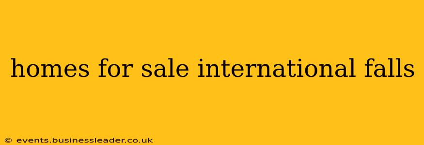 homes for sale international falls