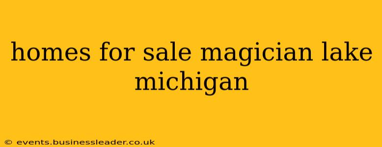 homes for sale magician lake michigan