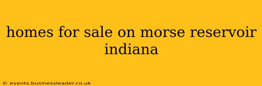 homes for sale on morse reservoir indiana
