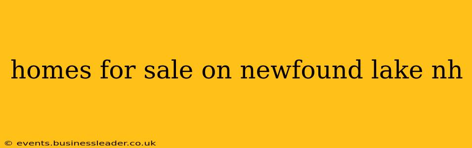 homes for sale on newfound lake nh