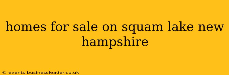 homes for sale on squam lake new hampshire