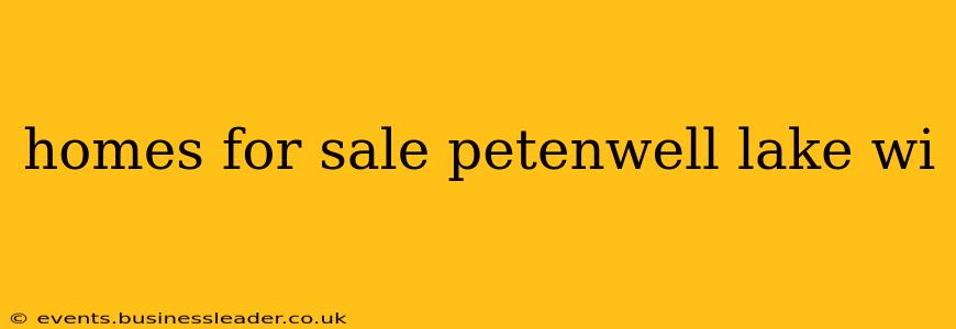 homes for sale petenwell lake wi