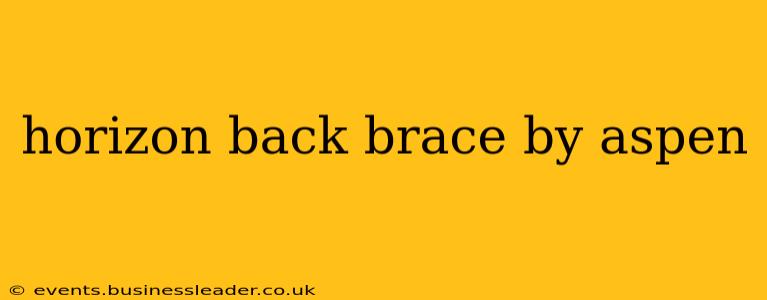 horizon back brace by aspen