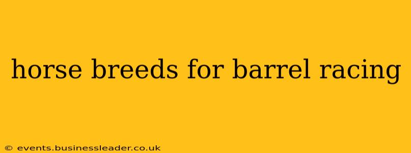 horse breeds for barrel racing