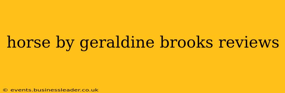 horse by geraldine brooks reviews