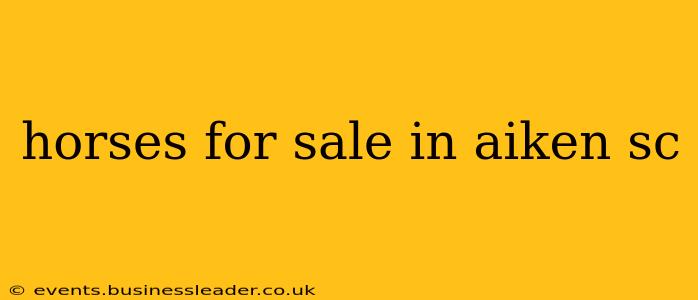 horses for sale in aiken sc