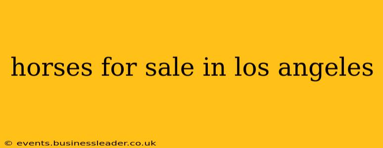 horses for sale in los angeles