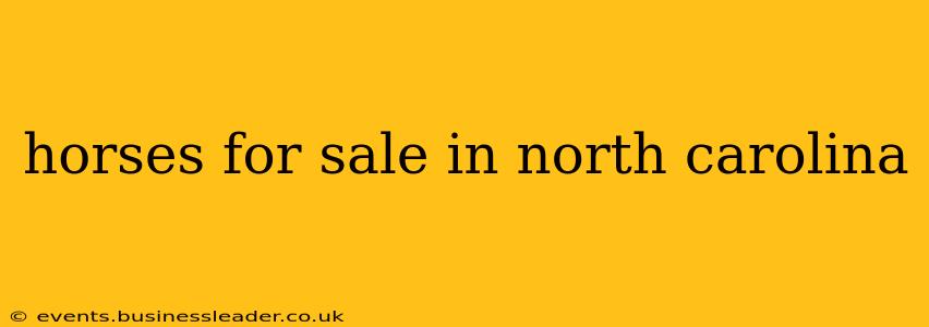 horses for sale in north carolina