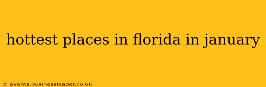 hottest places in florida in january