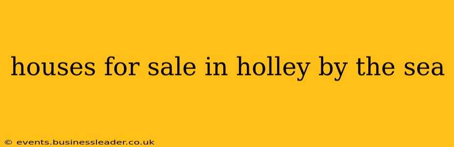 houses for sale in holley by the sea