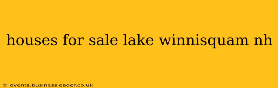 houses for sale lake winnisquam nh
