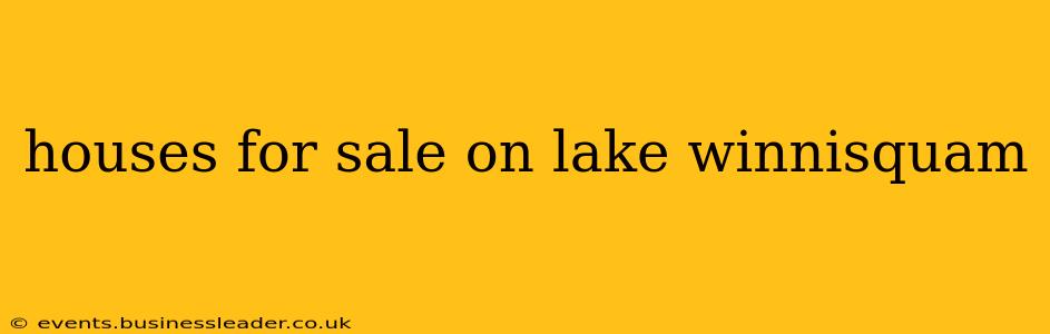 houses for sale on lake winnisquam