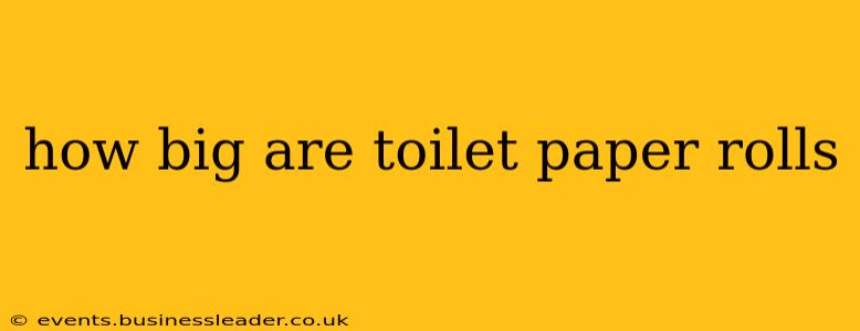 how big are toilet paper rolls