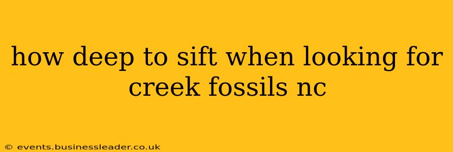 how deep to sift when looking for creek fossils nc
