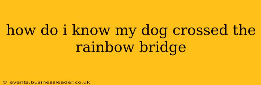 how do i know my dog crossed the rainbow bridge