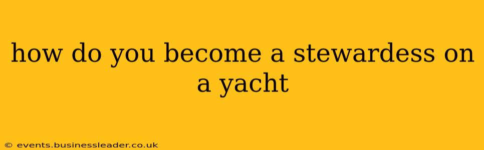 how do you become a stewardess on a yacht