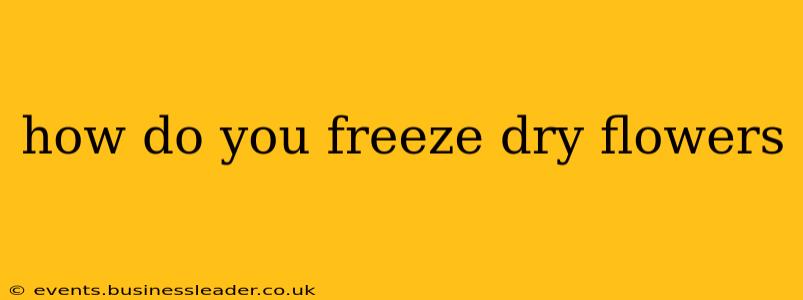 how do you freeze dry flowers