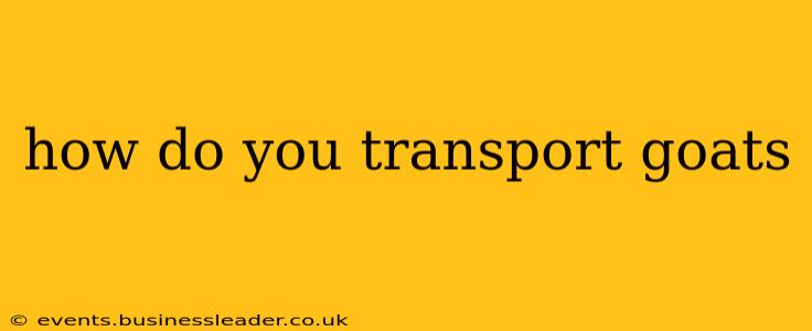 how do you transport goats
