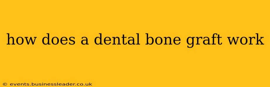 how does a dental bone graft work