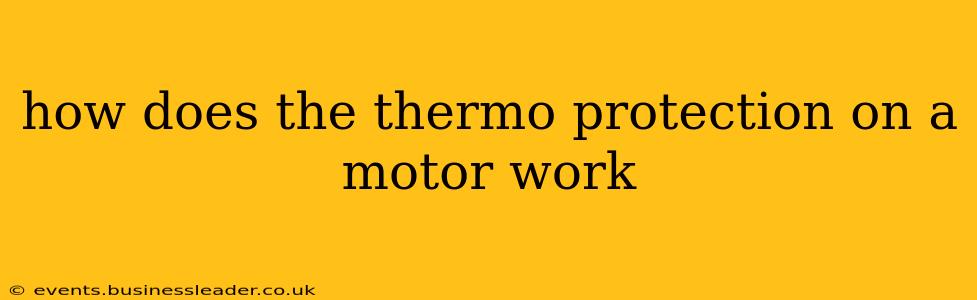 how does the thermo protection on a motor work
