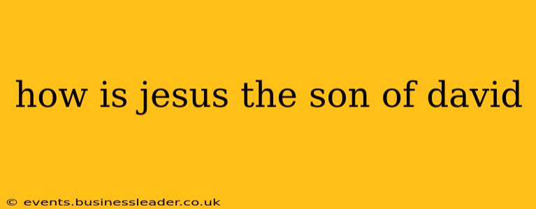 how is jesus the son of david