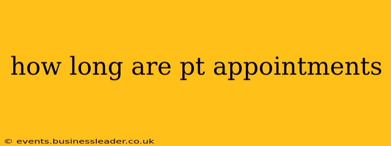 how long are pt appointments