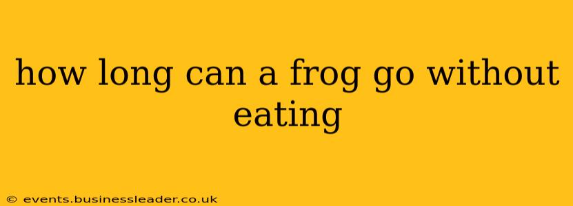 how long can a frog go without eating